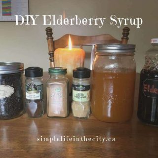 Elderberry syrup for cold and flu prevention