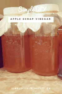 Apple Scrap Vinegar