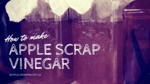 Apple Scrap Vinegar