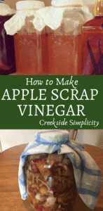 apple scrap vinegar