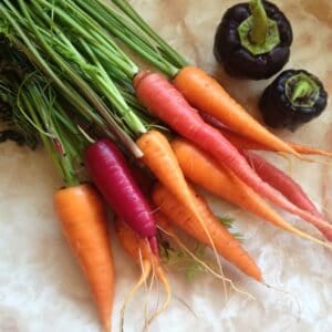 square foot garden carrots