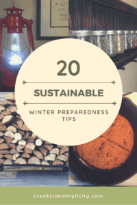 20 sustainable winter preparedness tips