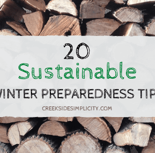 20 Sustainable Winter Preparedness Tips