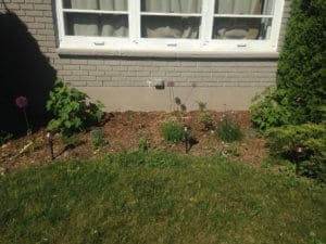 front flower bed