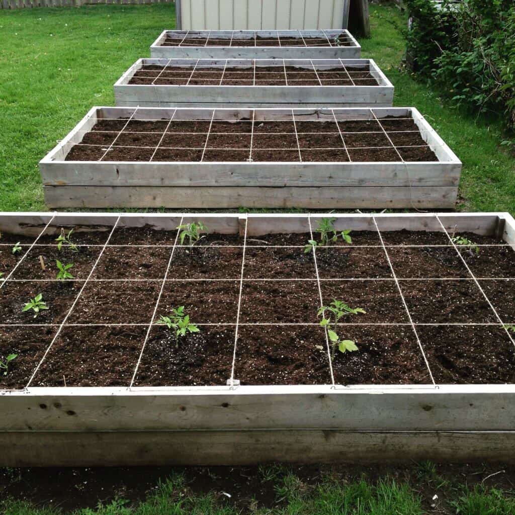 4 raised square foot garden beds