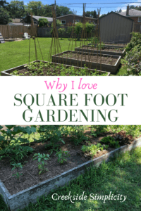 why i love square foot gardening