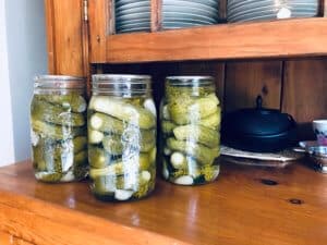 crunchy dill pickles