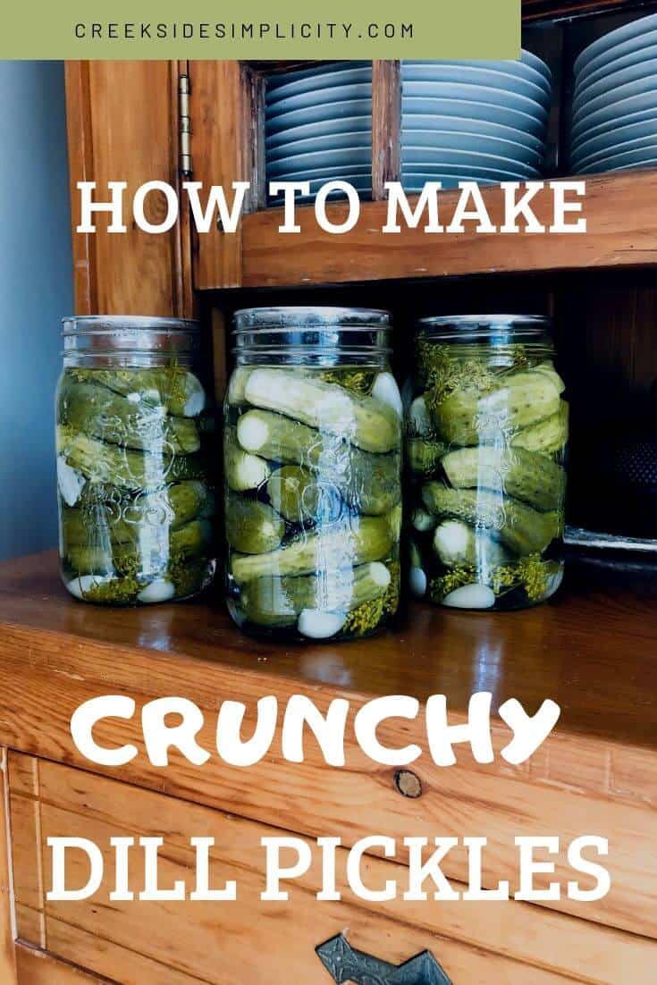 Pinterest image crunchy dill pickles