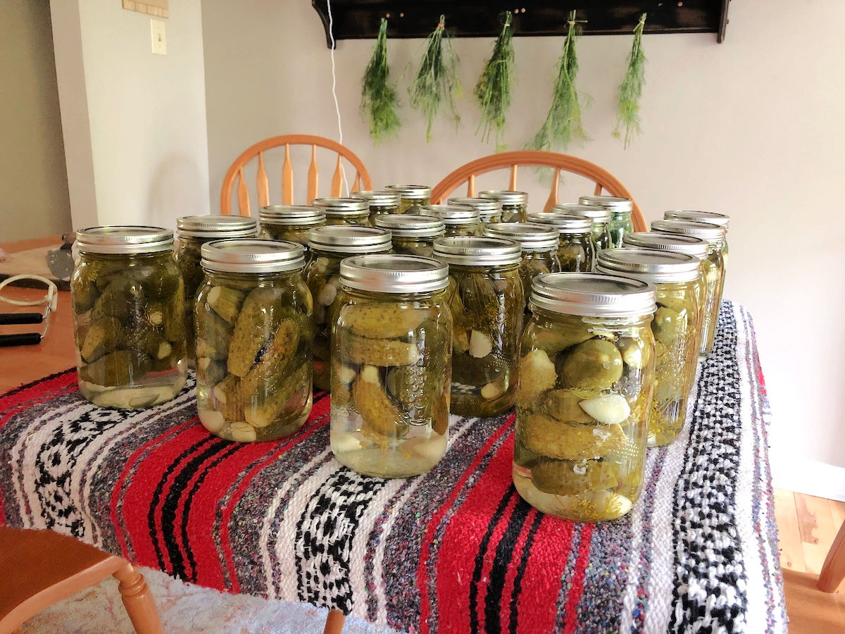 How to Make Crunchy Dill Pickles Using the Open Kettle Method