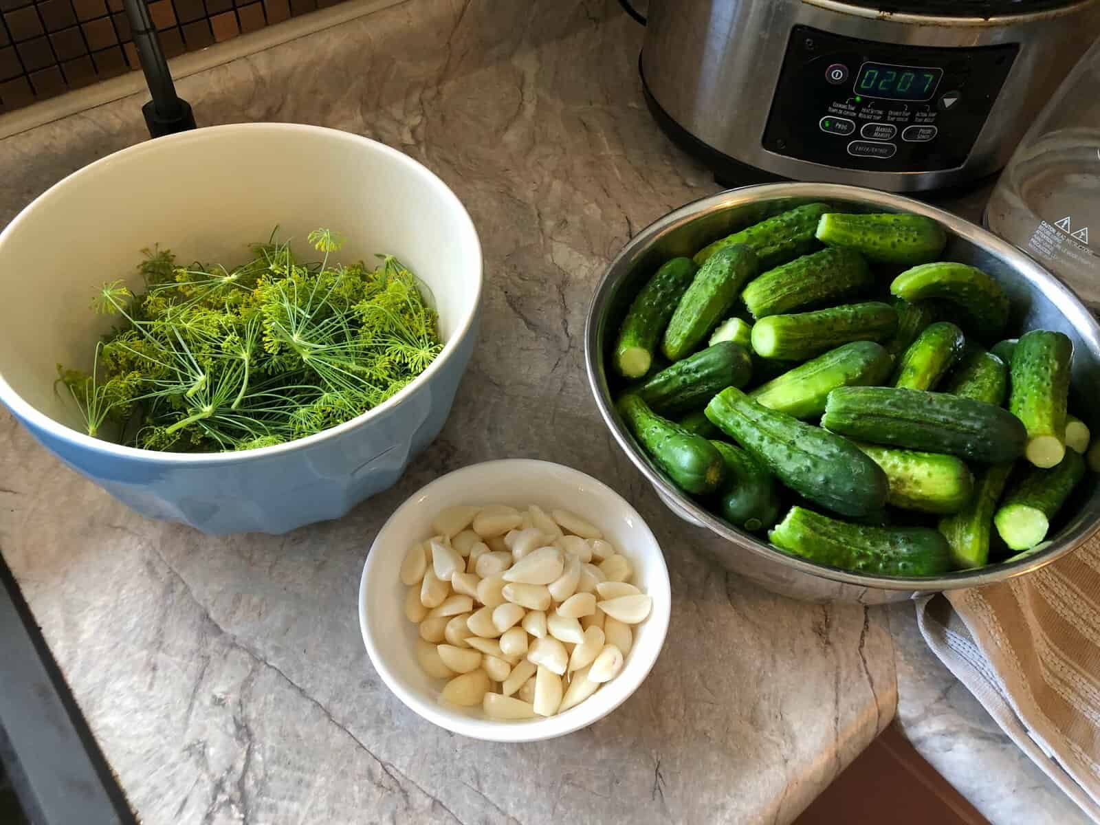 dill, garlic, and cucumbers in bowls