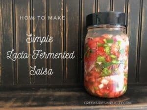 simple lacto-fermented salsa