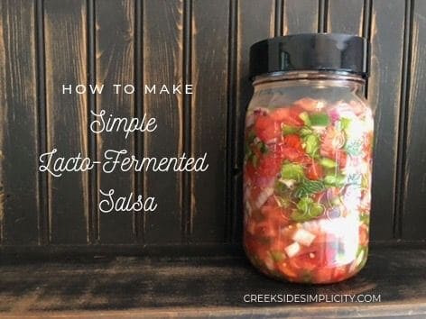 simple lacto fermented salsa