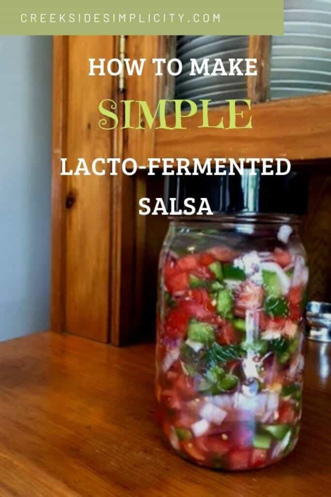 how to make simple lacto fermented salsa