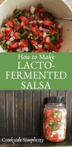 fermented salsa in a jar