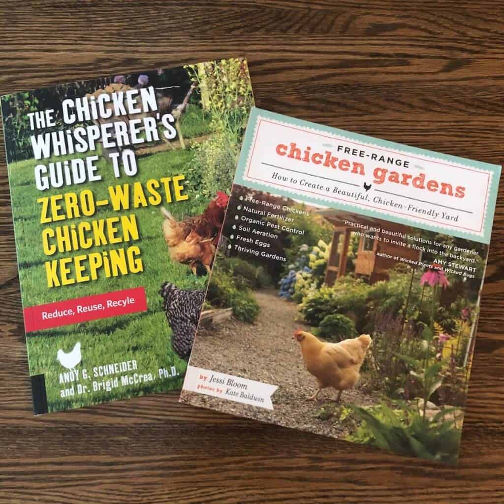 getting ready for chickens