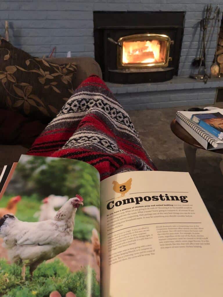 reading chicken books - getting ready for chickens