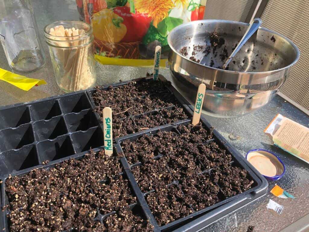 starting seeds for self-reliance
