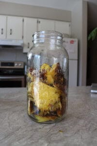 put pineapple scraps in jar