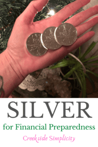 silver for financial preparedness diversify savings