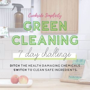 Green cleaning challenge