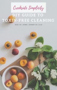 Creekside Simplicity Toxin Free Cleaning Guide