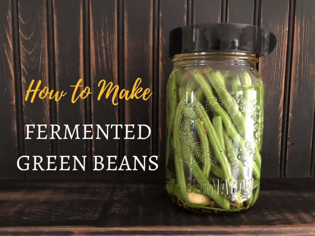 Jar of fermented green beans on a shelf, with "how to make fermented green beans" written beside it