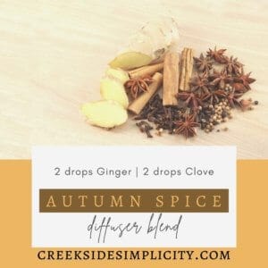 Autumn Spice Diffuser Blend, with 2 drops ginger, 2 drops clove