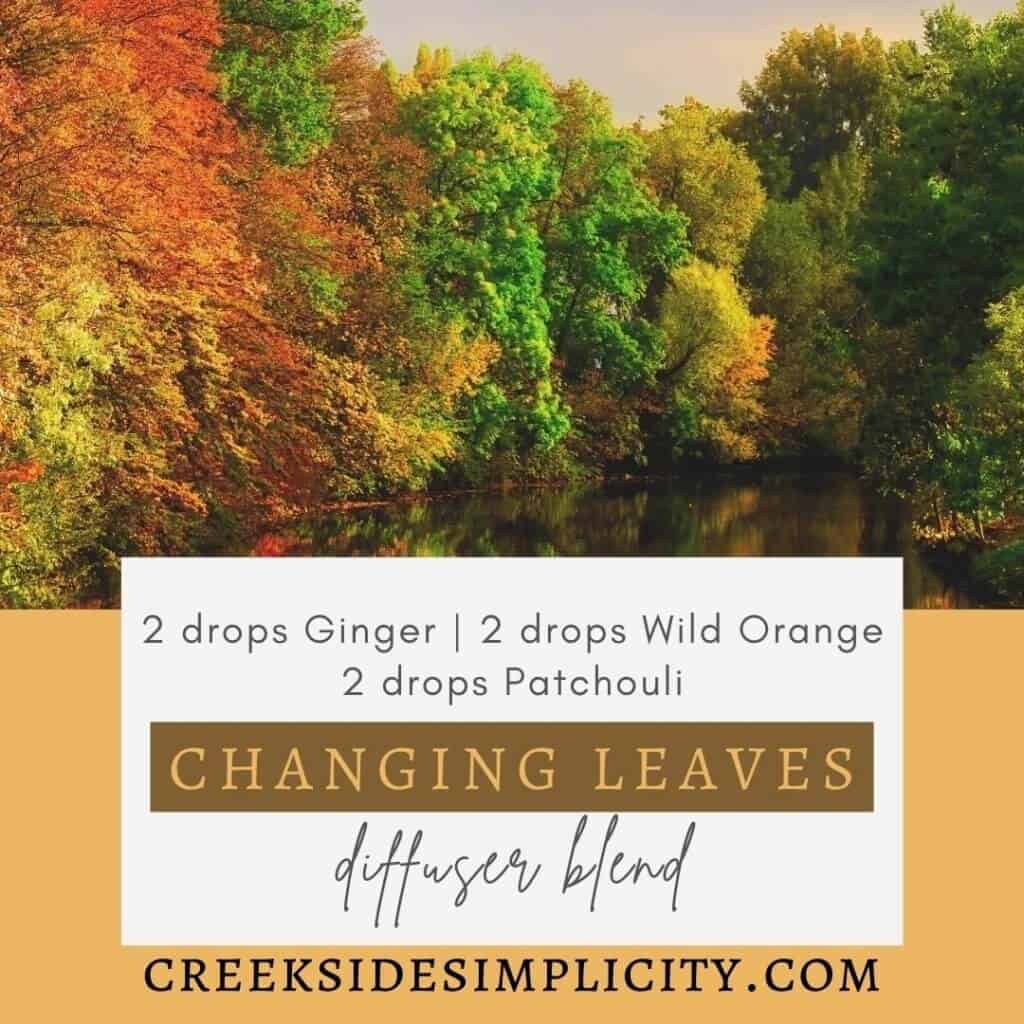 Changing Leaves diffuser blend, with 2 drops ginger, 2 drops wild orange, 2 drops patchouli