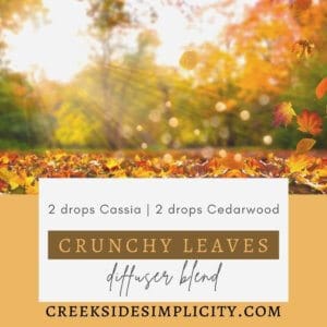 Crunchy Leaves Diffuser Blend, with 2 drops cassia, 2 drops cedarwood