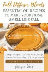 Picture of Pumpkin Pie, with the text: Fall Diffuser Blends, Essential Oil Recipes to Make Your Home Smell Like Fall.