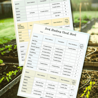 Image for Seed Starting Cheat Sheet