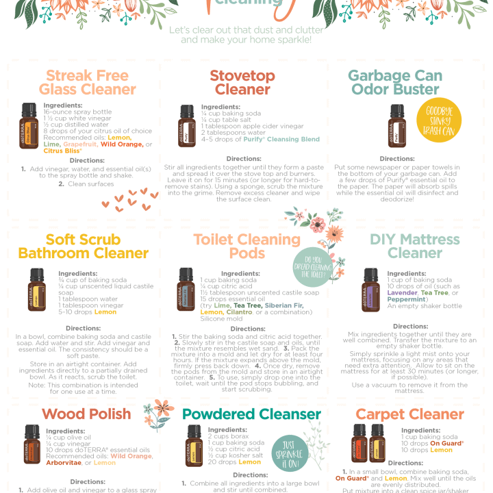 Image for Green Cleaning Recipe Sheet