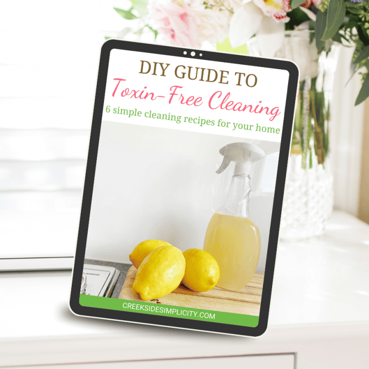 Image for Green Cleaning Ebook