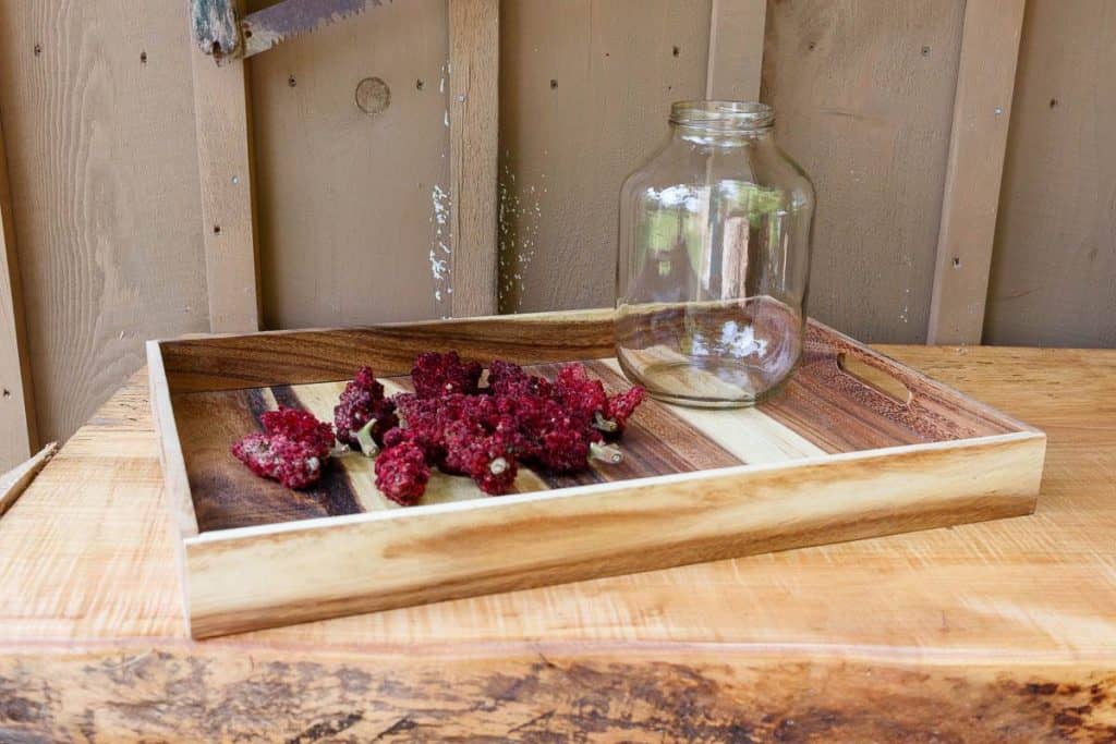 harvested sumac berries