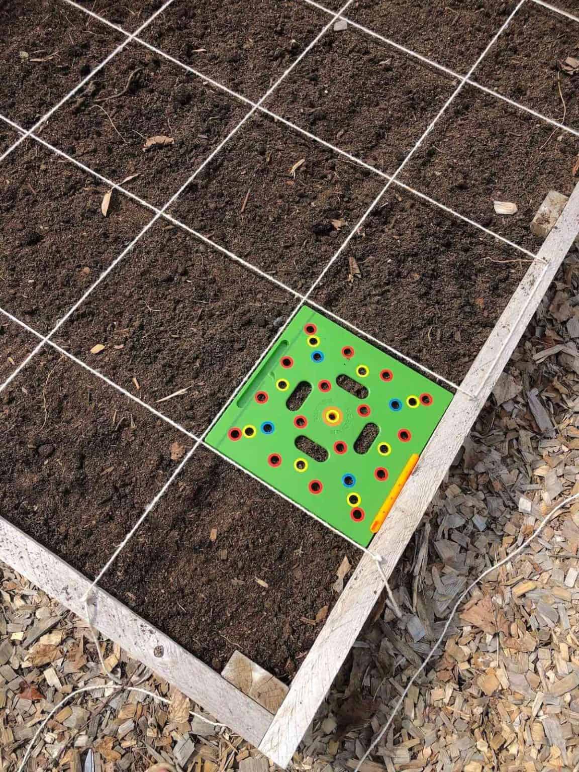 Grow a Thriving Vegetable Garden Without Getting Overwhelmed